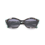 VISIONARIO-FOX-03-2